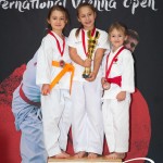 Vienna Open Karate Meisterschaft 2025
