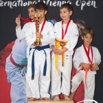 Vienna Open Karate Meisterschaft 2025