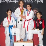Vienna Open Karate Meisterschaft 2025