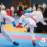 Vienna Open Karate Meisterschaft 2025