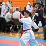 Vienna Open Karate Meisterschaft 2025