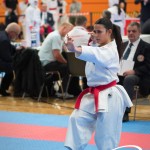 Vienna Open Karate Meisterschaft 2025