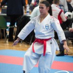 Vienna Open Karate Meisterschaft 2025