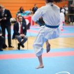 Vienna Open Karate Meisterschaft 2025