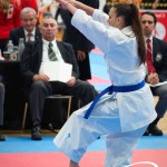 Vienna Open Karate Meisterschaft 2025