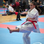 Vienna Open Karate Meisterschaft 2025