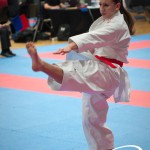Vienna Open Karate Meisterschaft 2025