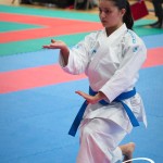 Vienna Open Karate Meisterschaft 2025