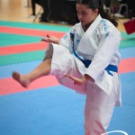 Vienna Open Karate Meisterschaft 2025