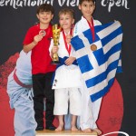Vienna Open Karate Meisterschaft 2025