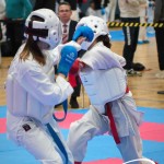 Vienna Open Karate Meisterschaft 2025