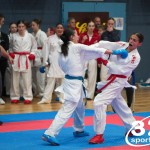 Vienna Open Karate Meisterschaft 2025