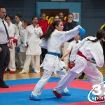 Vienna Open Karate Meisterschaft 2025