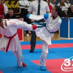 Vienna Open Karate Meisterschaft 2025