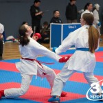 Vienna Open Karate Meisterschaft 2025