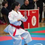 Vienna Open Karate Meisterschaft 2025
