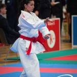 Vienna Open Karate Meisterschaft 2025