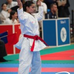 Vienna Open Karate Meisterschaft 2025