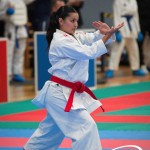 Vienna Open Karate Meisterschaft 2025