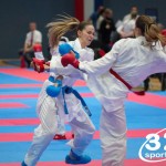 Vienna Open Karate Meisterschaft 2025