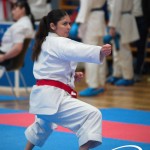 Vienna Open Karate Meisterschaft 2025