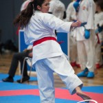 Vienna Open Karate Meisterschaft 2025