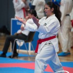 Vienna Open Karate Meisterschaft 2025