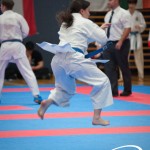 Vienna Open Karate Meisterschaft 2025