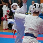 Vienna Open Karate Meisterschaft 2025
