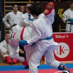 Vienna Open Karate Meisterschaft 2025