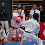 Vienna Open Karate Meisterschaft 2025