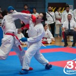 Vienna Open Karate Meisterschaft 2025