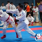 Vienna Open Karate Meisterschaft 2025