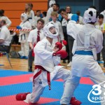 Vienna Open Karate Meisterschaft 2025