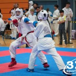 Vienna Open Karate Meisterschaft 2025