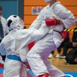 Vienna Open Karate Meisterschaft 2025