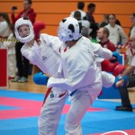 Vienna Open Karate Meisterschaft 2025