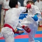Vienna Open Karate Meisterschaft 2025