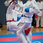 Vienna Open Karate Meisterschaft 2025