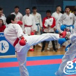 Vienna Open Karate Meisterschaft 2025