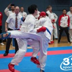 Vienna Open Karate Meisterschaft 2025