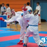 Vienna Open Karate Meisterschaft 2025