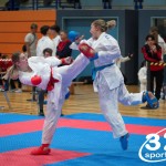 Vienna Open Karate Meisterschaft 2025