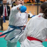 Vienna Open Karate Meisterschaft 2025
