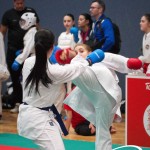 Vienna Open Karate Meisterschaft 2025