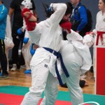 Vienna Open Karate Meisterschaft 2025