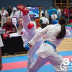 Vienna Open Karate Meisterschaft 2025
