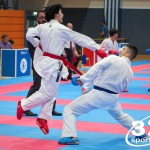 Vienna Open Karate Meisterschaft 2025