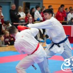 Vienna Open Karate Meisterschaft 2025