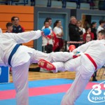 Vienna Open Karate Meisterschaft 2025